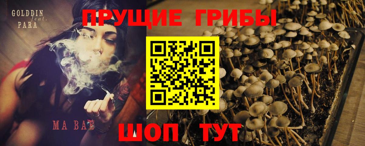 Галлюциногенные грибы мухоморы  Вход с VPN  Александров  Псилоцибиновые грибы Psilocybine cubensis 